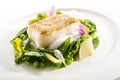 Halibut Steak and Vegetables Royalty Free Stock Photo