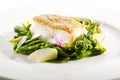 Halibut Steak and Vegetables Royalty Free Stock Photo