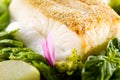 Halibut Steak and Vegetables Royalty Free Stock Photo