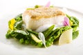 Halibut Steak and Vegetables Royalty Free Stock Photo