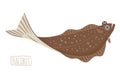 Halibut vector illustration, cartoon style