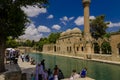 Halil-ur Rahman Mosque, Holy Lake (Fish Lake), Urfa