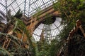 Large hall of the botanical garden, a glass ceiling in the greenhouse, large green plants