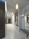 Hall with a corridor in Contemporary style with a wardrobe and a Royalty Free Stock Photo