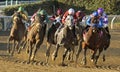 : Hall of Fame Jockey Mike Smith (blue cap with star) Royalty Free Stock Photo