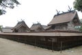 hall (honden) in a shinto shrine (izumo-taisha) in izumo (japan)