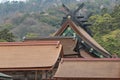 hall (honden) in a shinto shrine (izumo-taisha) in izumo (japan) Royalty Free Stock Photo