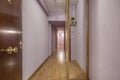 hall of a house with an armored door with a golden knob, a mirror cabinet and a long corridor painted in fuchsia Royalty Free Stock Photo