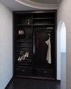 Hall interior design closet system, 3D render Royalty Free Stock Photo