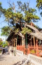 Hall of Saintly Mother and tall ancient cypress trees Royalty Free Stock Photo