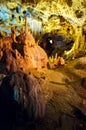 Ursus spelaeus cave in romanian mountains transilvania