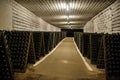 hall of white sparkling wine bottles in the winery cellar Royalty Free Stock Photo