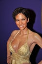 Halle Berry Royalty Free Stock Photo