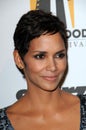 Halle Berry Royalty Free Stock Photo