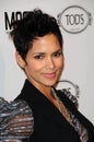 Halle Berry Royalty Free Stock Photo