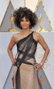 Halle Berry Royalty Free Stock Photo