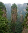 Hallelujah Mountain,zhangjiajie