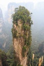 Hallelujah mountain in Zhangjiajie national park ( tian zhi shan ) ( Tianzi Mountain Nature Reserve ) and fog , China