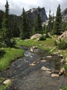 Hallet Peak rising over small stream in Rocky Mountain National Park Royalty Free Stock Photo