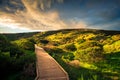 Hallett Cove park, South Australia Royalty Free Stock Photo