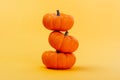 Pumpkins on a yellow background Royalty Free Stock Photo