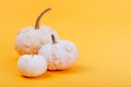 Pumpkins on a yellow background Royalty Free Stock Photo