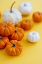 Pumpkins on a yellow background Royalty Free Stock Photo