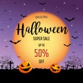 Halloween sale banners or party invitation background. Royalty Free Stock Photo