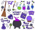 Halloween element set. Cauldron, poison bottles, ouija, magic book, tarot, magic ball, broomstick, skull, candle, magic wand Royalty Free Stock Photo