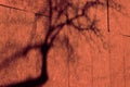 Halloween abstract shadow pattern of tree branches Royalty Free Stock Photo