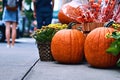 Halloween arrangement in front of the street shop in New York with orange pumpkins, physalis alkekengi or bladder cherry
