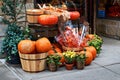 Halloween arrangement in front of the street shop in New York with orange pumpkins, physalis alkekengi or bladder cherry