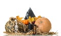 Halloween. Arrangement for the holiday isolated on a white