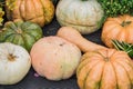 Halloween autumn decoration of pumkins. Rural market concept. Pumpkin background Royalty Free Stock Photo