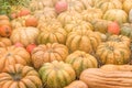 Halloween autumn decoration of pumkins. Rural market concept. Pumpkin background Royalty Free Stock Photo