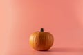 Halloween autumn fresh nice ornamental pumpkin decorations on a pink background