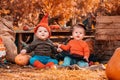 Halloween and autumn holidays. A boy in a dwarf costume and a girl in a witch costume. Outdoor. Close up. Preschool Royalty Free Stock Photo