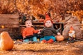 Halloween and autumn holidays. A boy in a dwarf costume and a girl in a witch costume. Outdoor. Preschool child Royalty Free Stock Photo