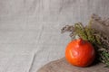 Halloween autumn still life. Pumpkin, herbs. Light canvas background. Royalty Free Stock Photo