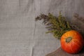 Halloween autumn still life. Pumpkin, herbs. Light canvas background. Royalty Free Stock Photo