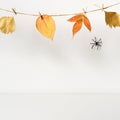 Halloween backdrop with spider and floral garland on table wall background
