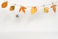 Halloween backdrop with spider and floral garland on table wall background