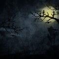 Halloween Background Royalty Free Stock Photo