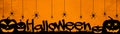HALLOWEEN background banner wide panoramic panorama template -Silhouette of scary carved luminous cartoon pumpkins and spiders