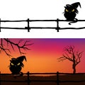 Halloween background with black cat and fence Royalty Free Stock Photo