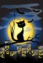 Halloween background with black cat and full moon