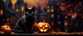 Halloween background with black cat and pumpkins. Royalty Free Stock Photo