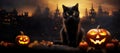 Halloween background with black cat and pumpkins on old wooden. Royalty Free Stock Photo