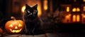 Halloween background with black cat and pumpkins Royalty Free Stock Photo