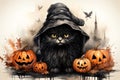 Halloween background with black cat in witch hat and pumpkins Royalty Free Stock Photo